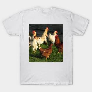 Poultry T-Shirt